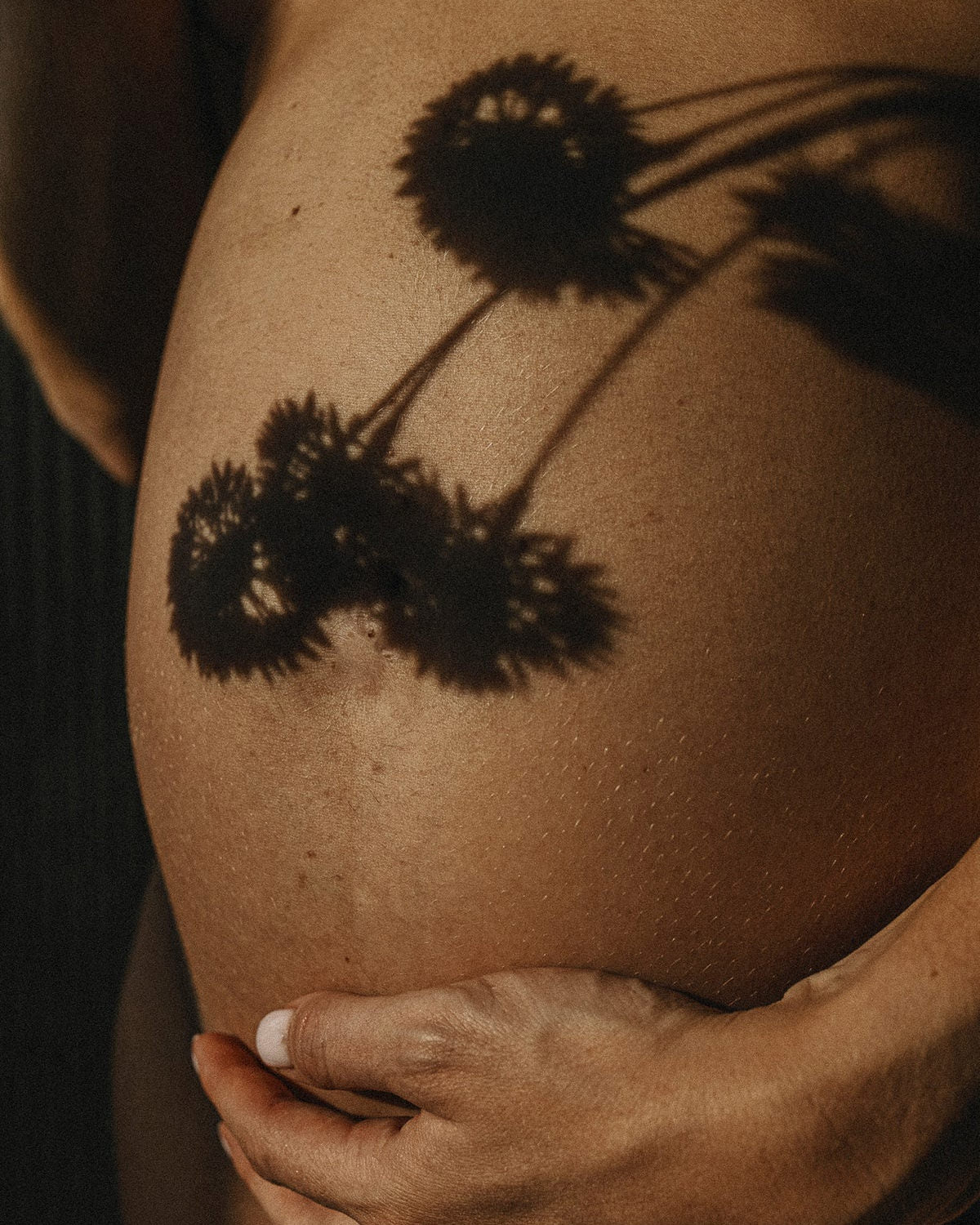 Botanical shadows on skin