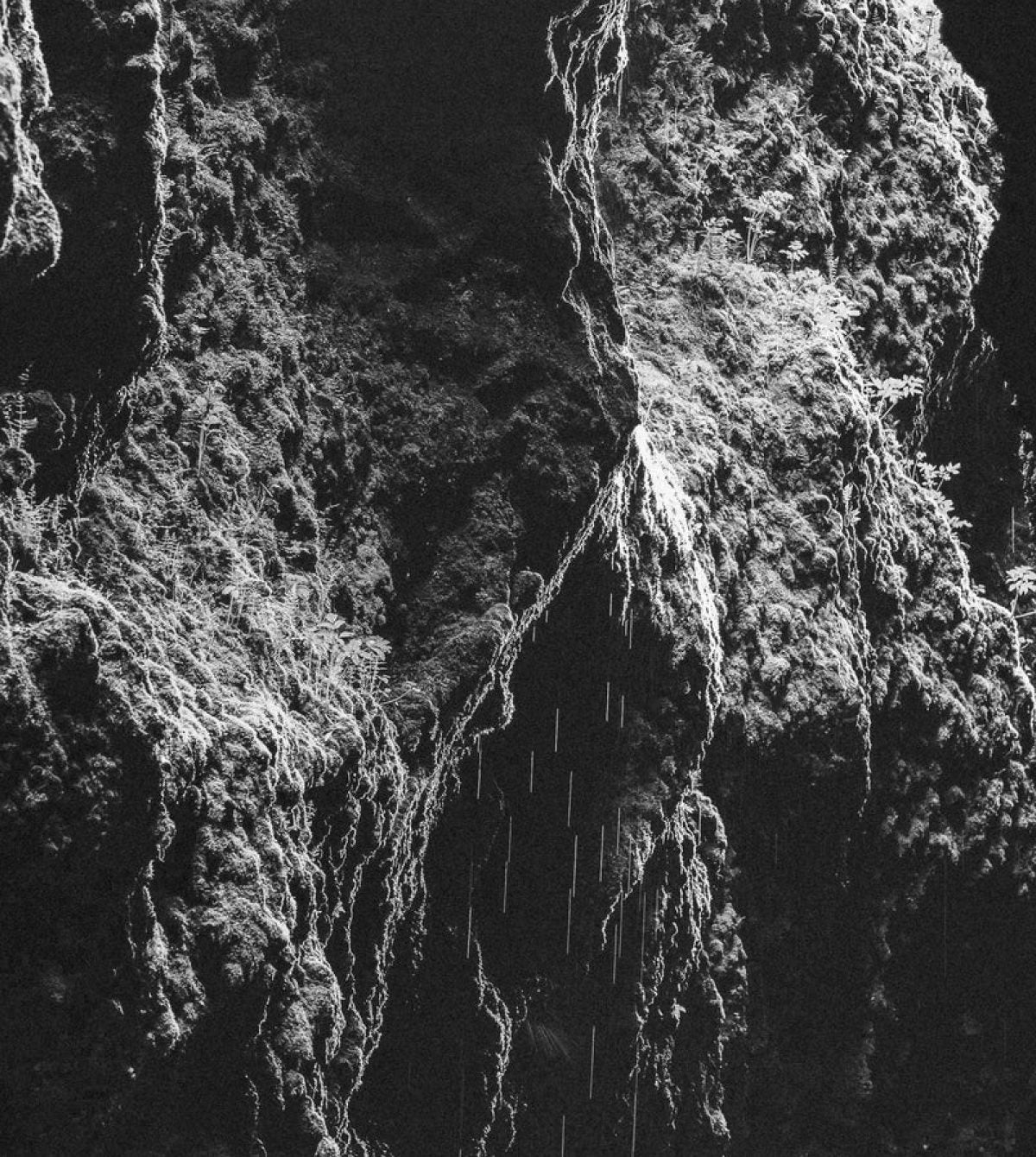 Monochrome natural texture