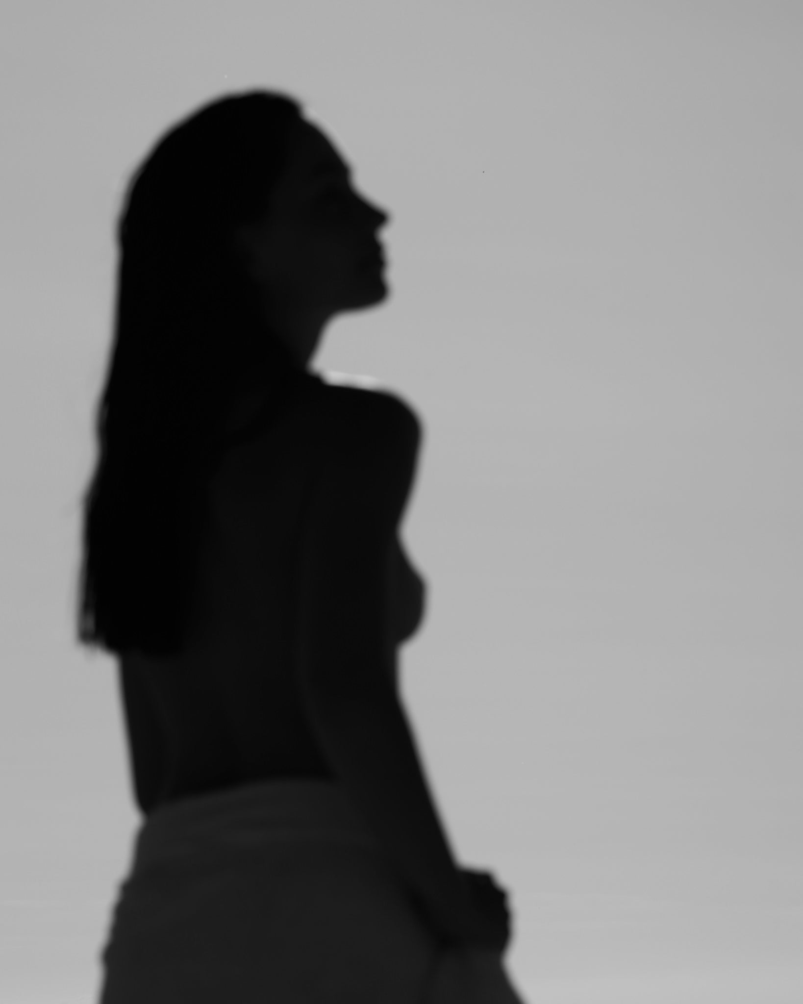 A softly lit portrait in silhouette